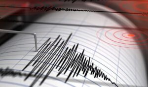 Nuova Zelanda, fortissima scossa di terremoto: magnitudo 8.1
