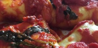 cannelloni alla norma