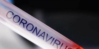 coronavirus variante
