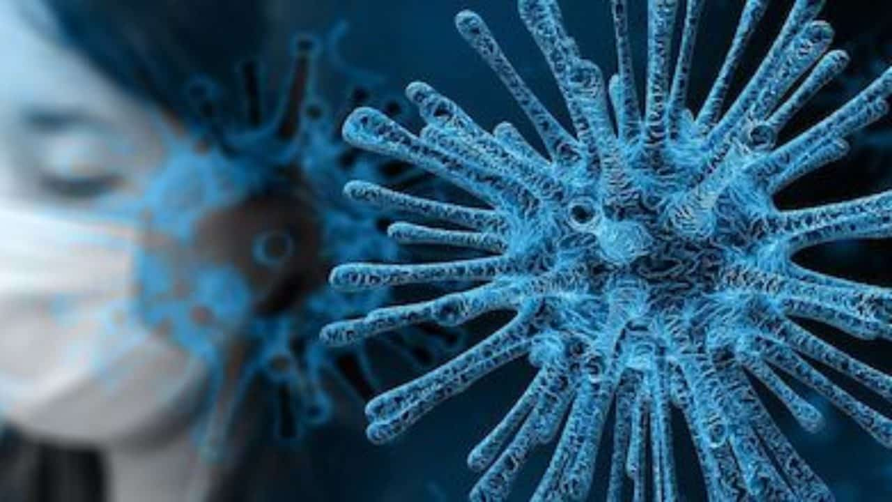 Coronavirus, Zaia: "In Veneto anche la variante brasiliana del Covid"