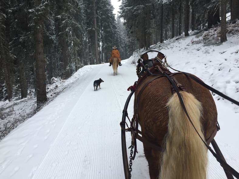 passeggiate a cavallo