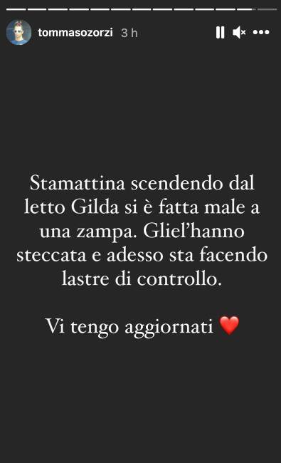 Tommaso Zorzi: incidente in casa per Gilda-Le sue condizioni