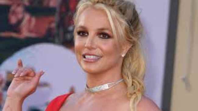 Britney Spears: una delle poche fotografie con i suoi due figli