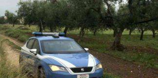 roma morto nudo campo