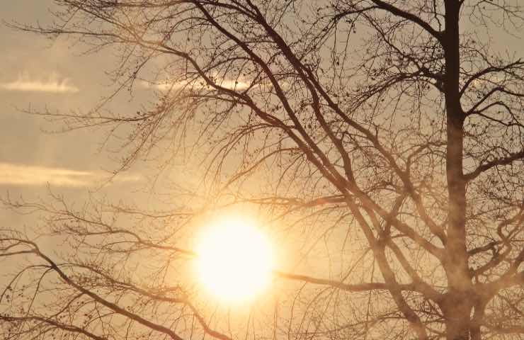 meteo