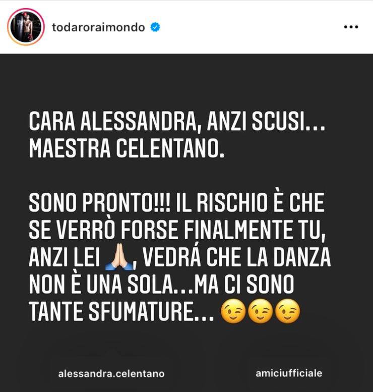 Le parole di Raimondo Todaro contro Alessandra Celentano 