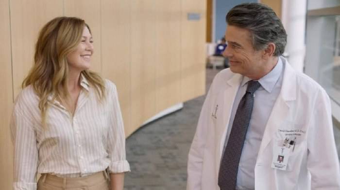 Grey's Anatomy: Meredith potrebbe lasciare Seattle?