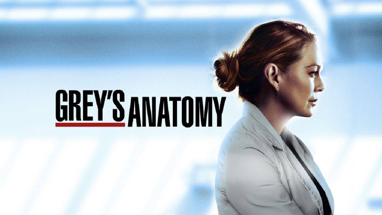 Grey's Anatomy 17: ecco quando andrà in onda 