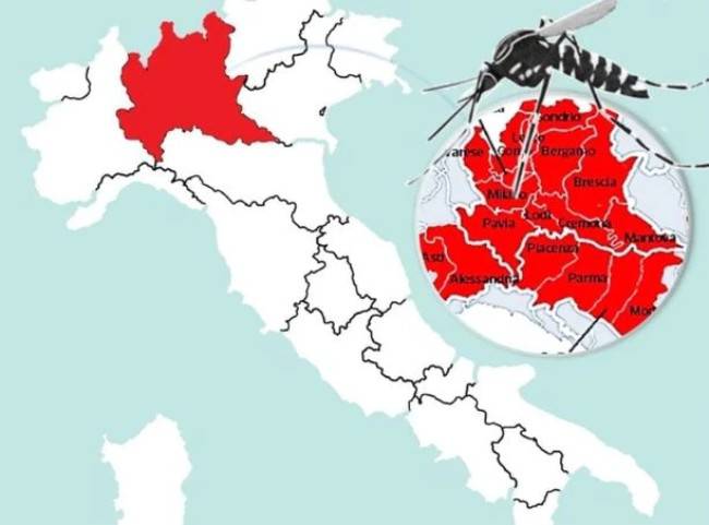 Zanzare: allarme, è arrivata dalla Corea quella che sopravvive al freddo