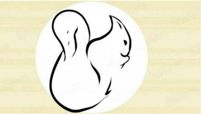 Test: Cosa vedi? Ecco cosa ti serve per essere felici Test: Cosa vedi? Ecco cosa ti serve per essere felici
