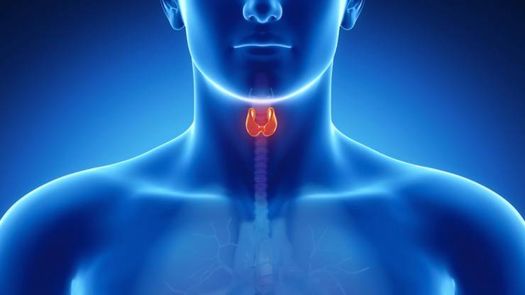Ipotiroidismo - Tutto quello che c'è da sapere 