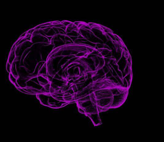 herpes malattie neurodegenerative