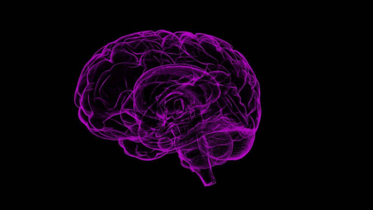 herpes malattie neurodegenerative