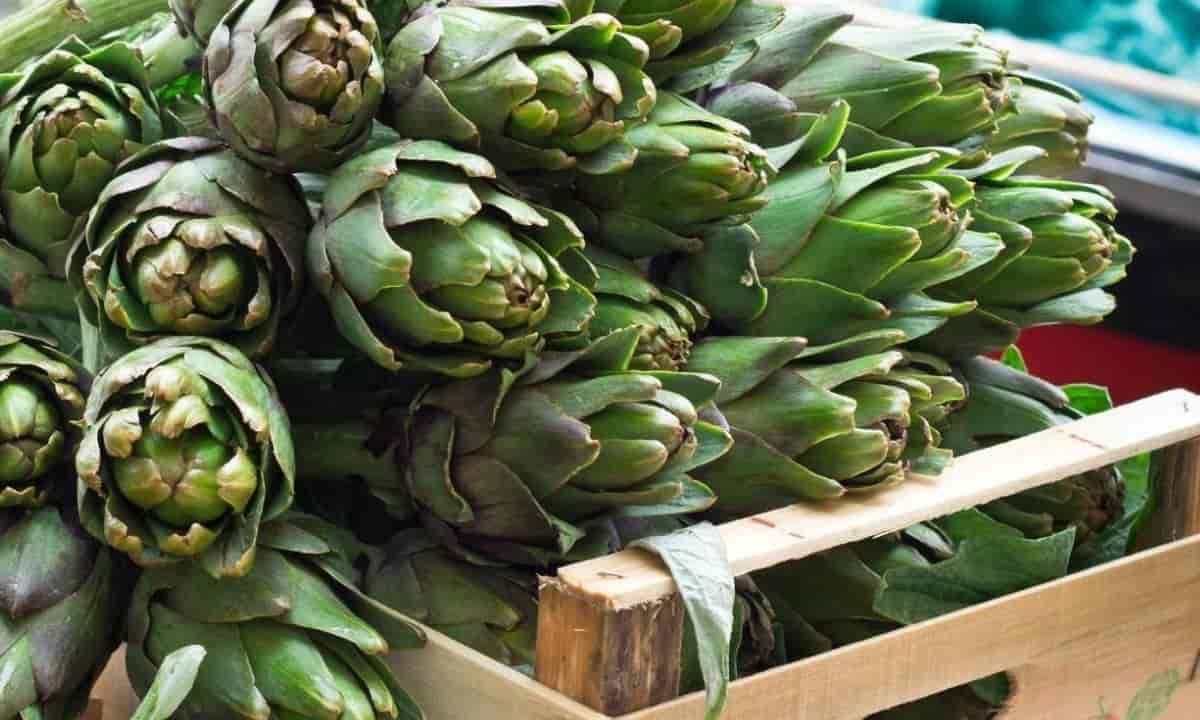 carciofi benefici salute
