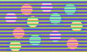 test visivo colore cerchi