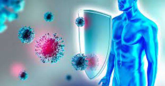 Sistema immunitario: Ecco quando stimolare le difese