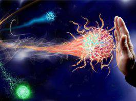 Sistema immunitario: Ecco quando stimolare le difese