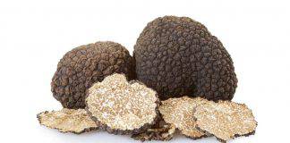 tartufo quanto costa
