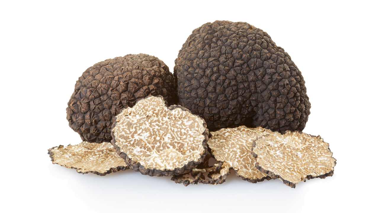 tartufo quanto costa