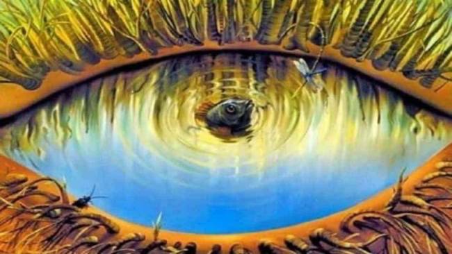 Test: cosa noti per primo? Ecco la tua intelligenza visiva Test: cosa noti per primo? Ecco la tua intelligenza visiva
