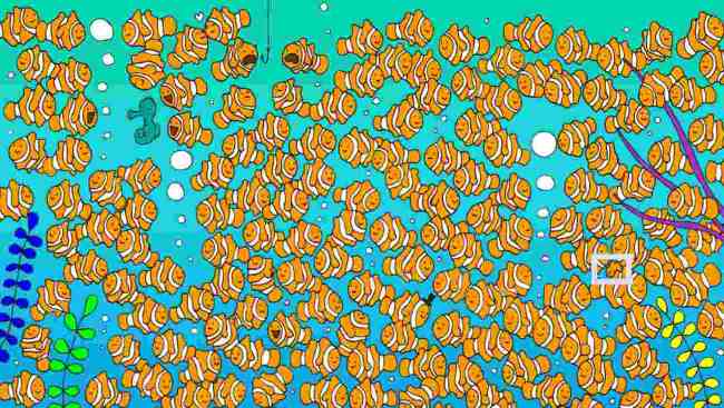 Prueba: ¿dónde se esconde el pez dorado?  ¡Nadie lo ve!