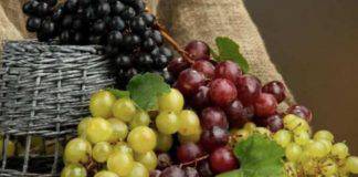 I miracolosi semi d'uva