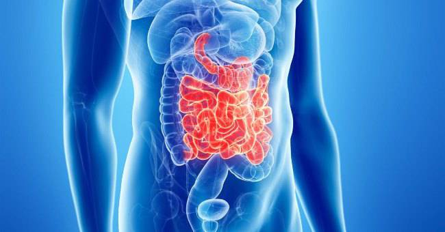 Additivo alimentare: cercate di evitare questi creano problemi all'intestino