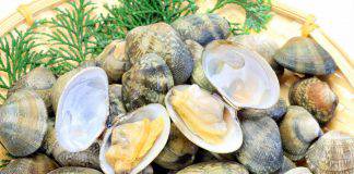 Vongole: ecco come possiamo pulirle alla perfezione