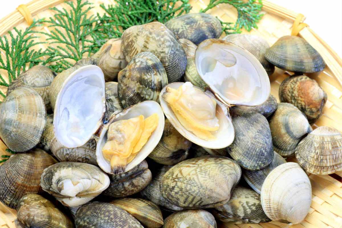 Vongole: ecco come possiamo pulirle alla perfezione