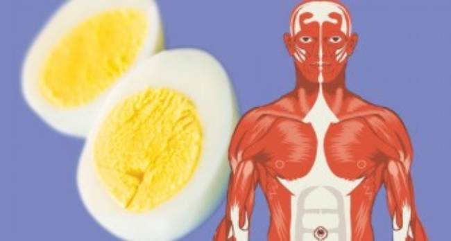 Uovo: ne mangi 2 al giorno? Ecco cosa succede, da non credere