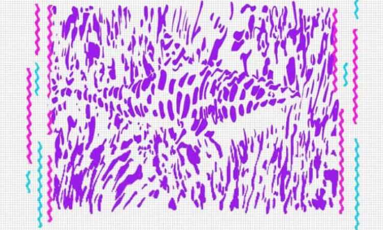 Concentrati e prova ad individuare la figura nascosta nelle macchie di colore