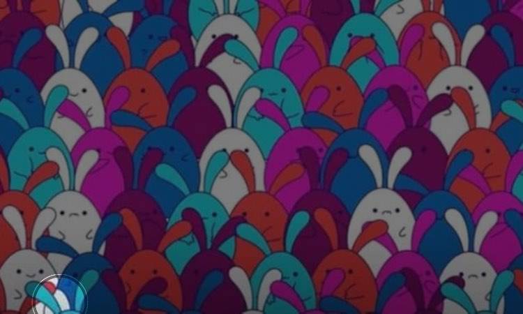 Test: tra i coniglietti riesci a vedere l'oggetto nascosto?
