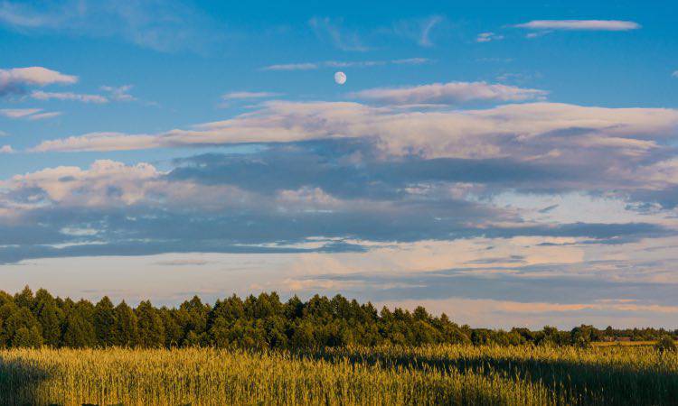 Luna: perchè la possiamo vedere anche di giorno? Ecco la spiegazione