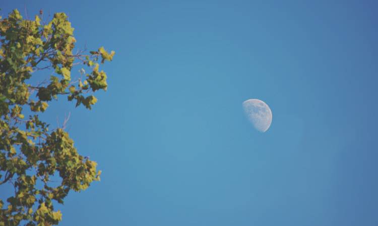 Luna: perchè la possiamo vedere anche di giorno? Ecco la spiegazione