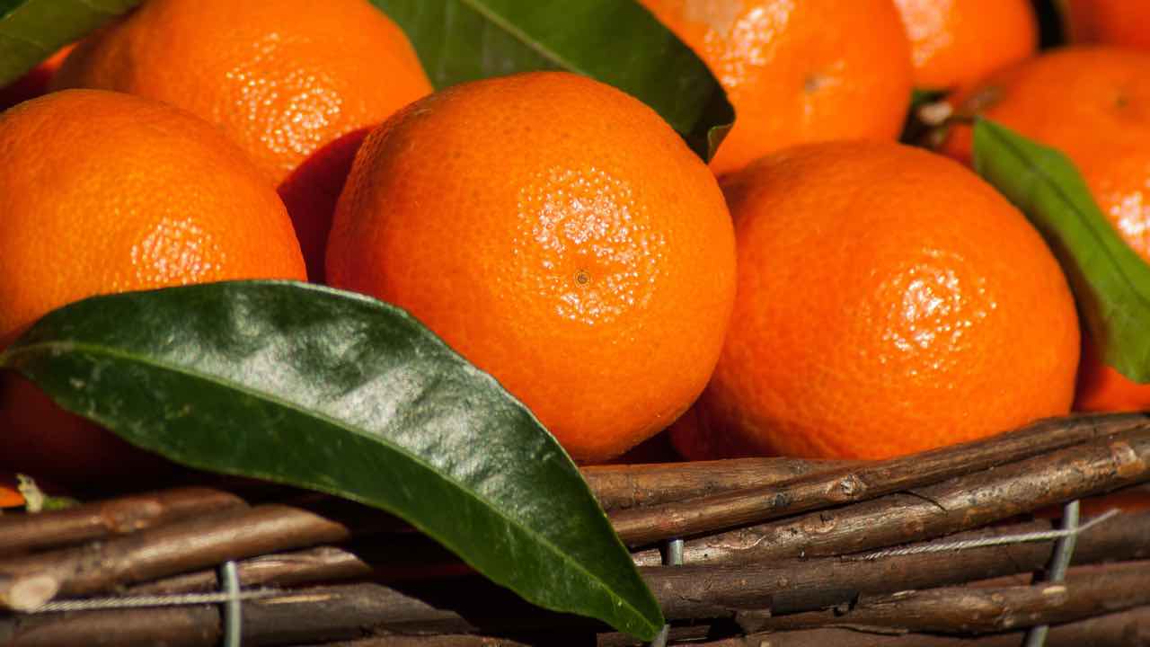 Marmellata di mandarini: ottima e velocissima da fare