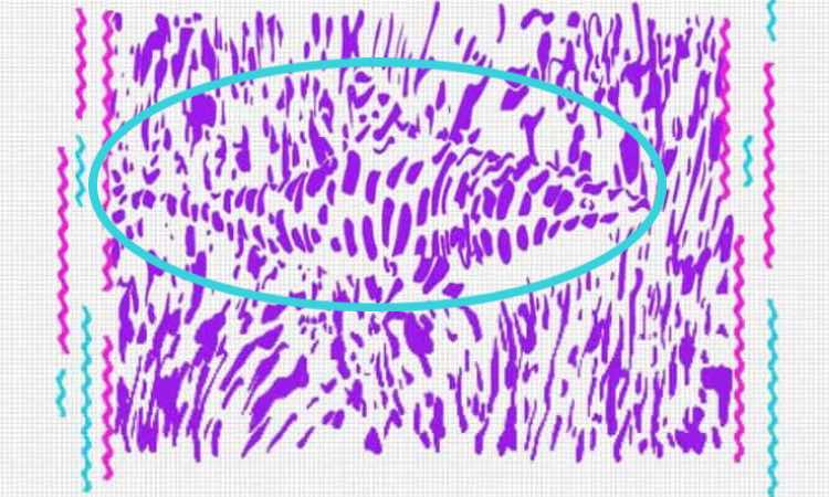 Concentrati e prova ad individuare la figura nascosta nelle macchie di colore