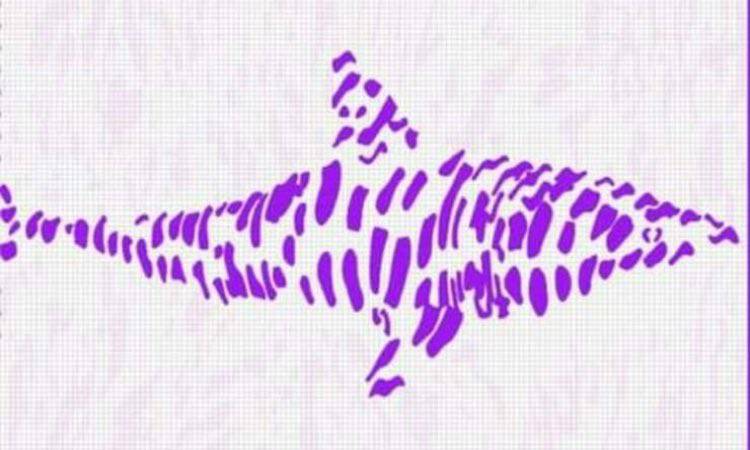 Concentrati e prova ad individuare la figura nascosta nelle macchie di colore