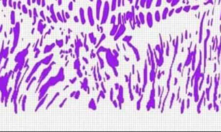 Test: riesci a vedere oltre al dipinto? È impossibile