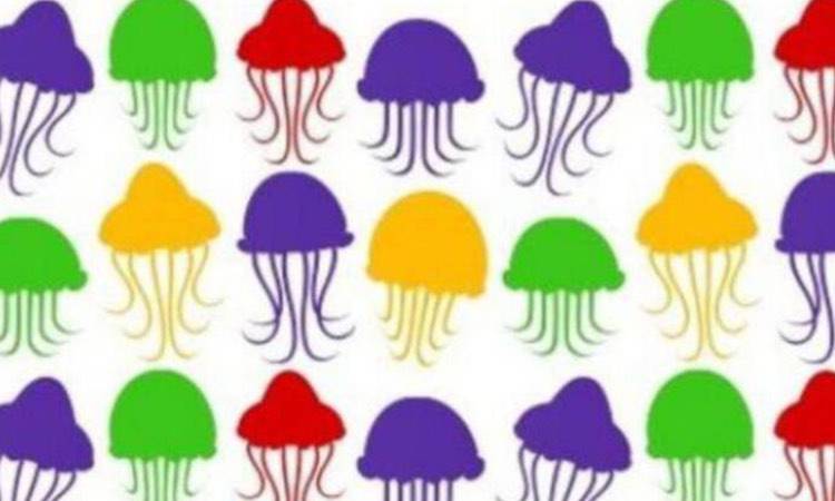 Quiz: encuentra el globo entre las medusas, definitivamente no puedes