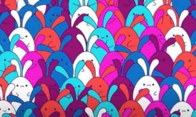 Test: tra i coniglietti riesci a vedere l'oggetto nascosto?
