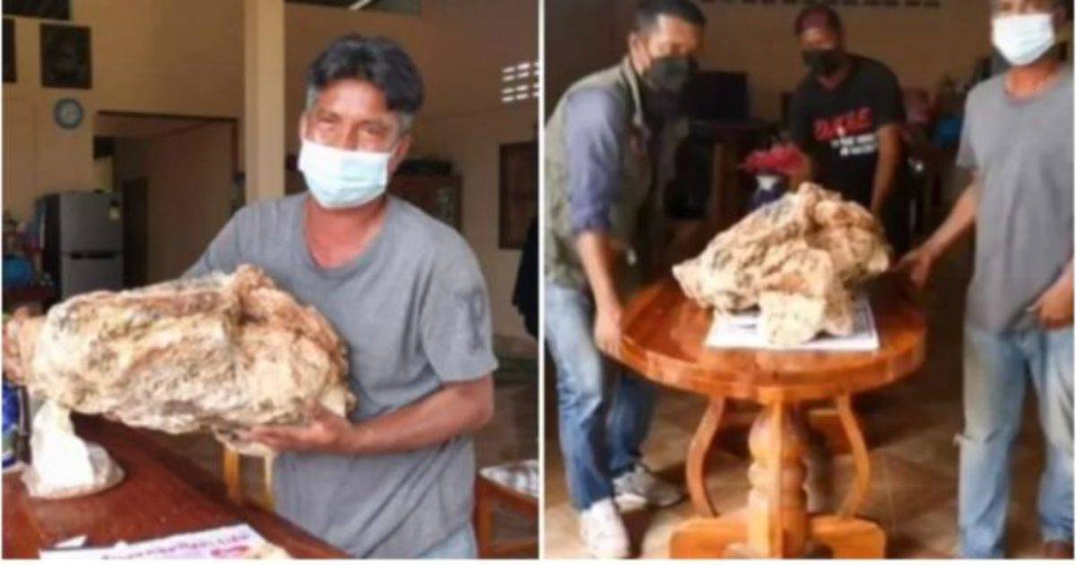 Pescatore trova vomito di balena: vale oltre 1 milione di euro!