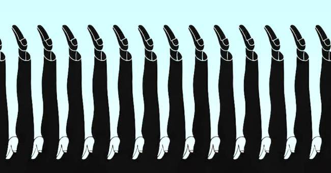 Test: Quante sono le gambe? Impossibile dare la risposta giusta, prova