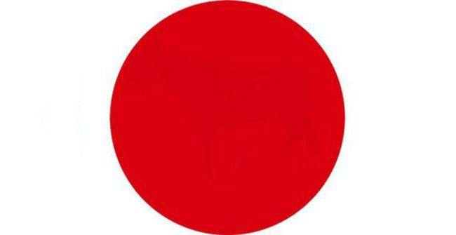 Test: cosa si nasconde dietro al cerchio rosso? riesci a vederlo