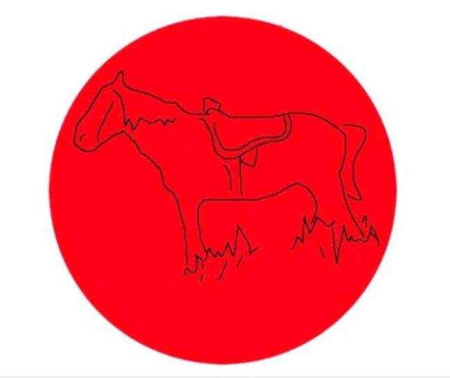 Test: cosa si nasconde dietro al cerchio rosso? riesci a vederlo