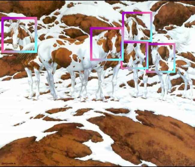 Test: quanti cavalli vedi? Sei super intelligente se ci riesci