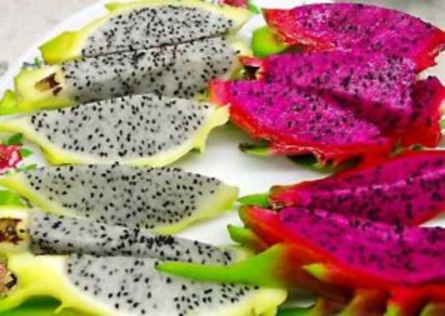 Dragon fruit: le mille proprietà che non ti immagini per la tua salute