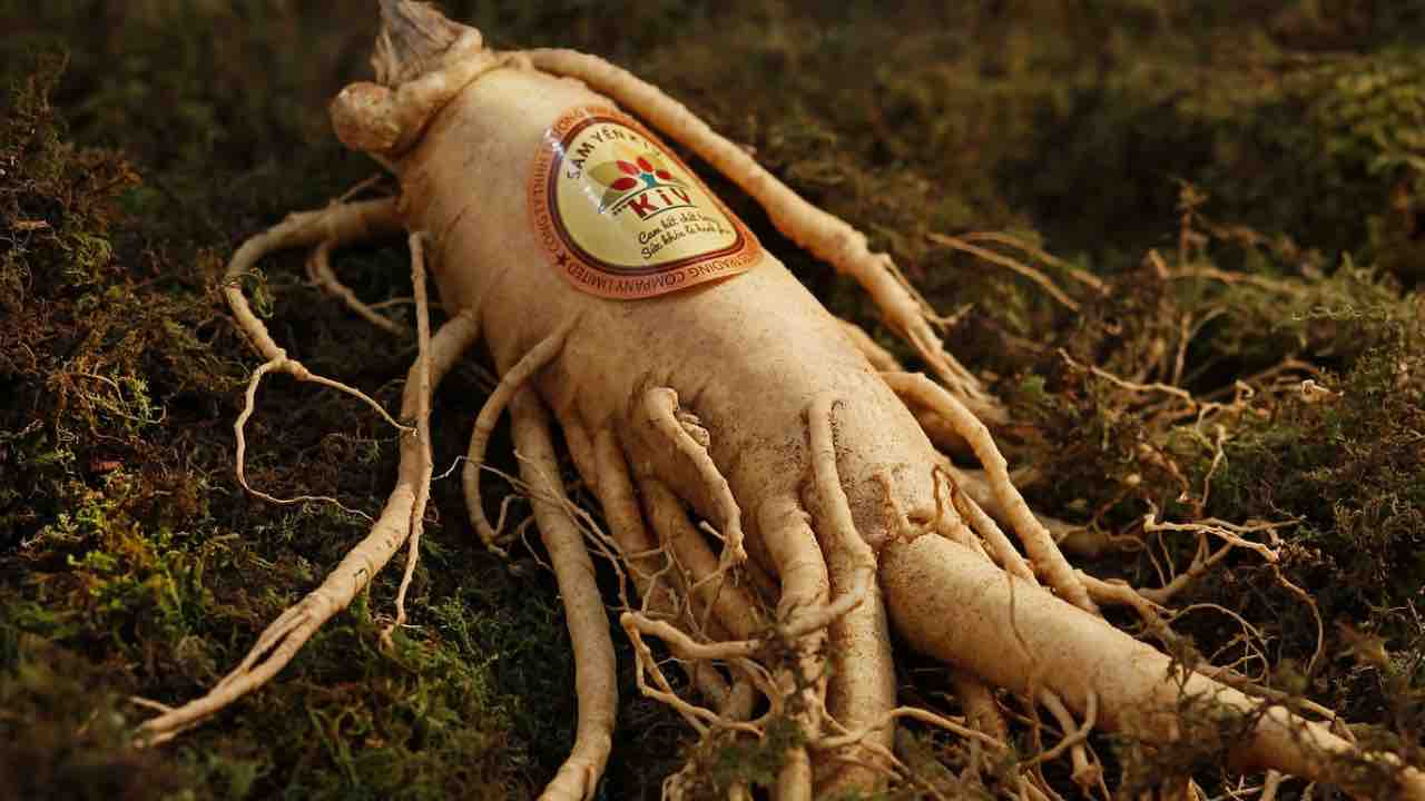 Ginseng: possiamo veramente sostituirlo al posto del caffè? Ecco la verità