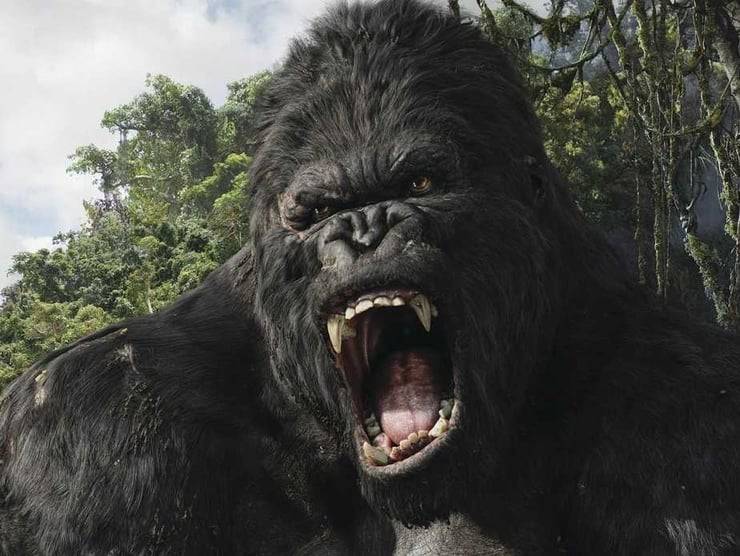 stasera in tv, King Kong