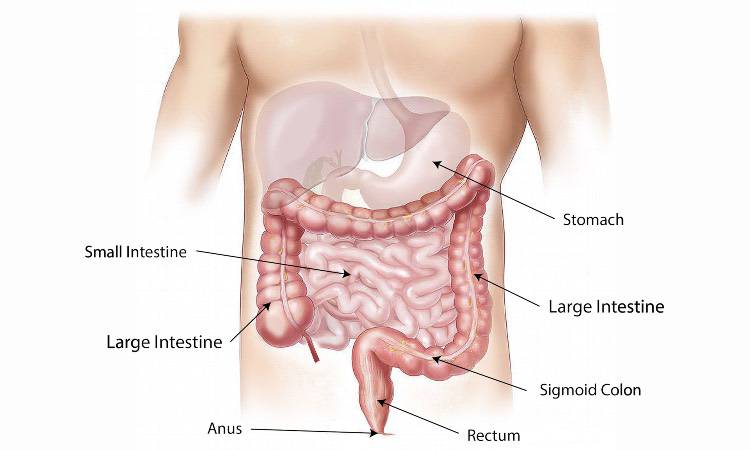 Carne rossa: ecco cosa succede al tuo corpo se non la mangi