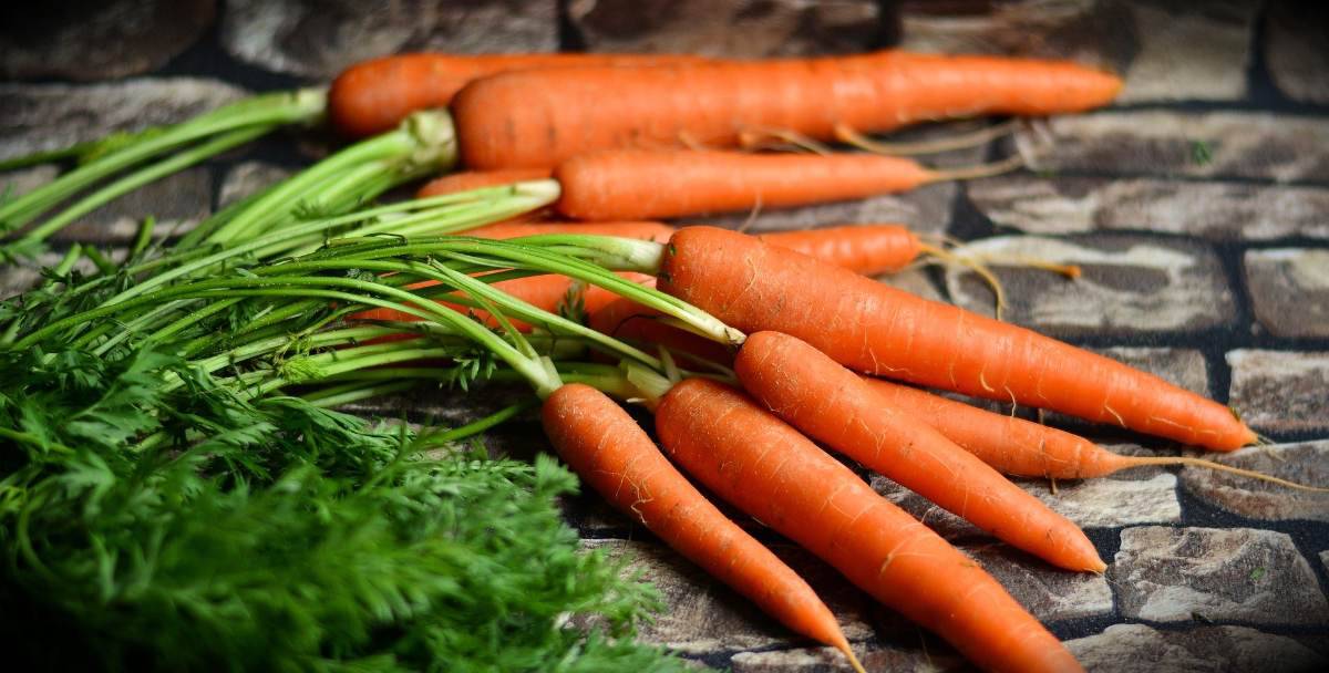Sapone alla carota: velocissimo da fare e rimarrai senza parole